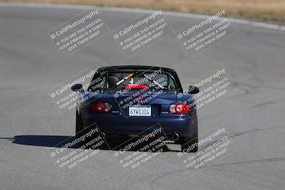 media/Nov-19-2023-Extreme Speed (Sun) [[bd0eec5490]]/Purple/Back Shots/